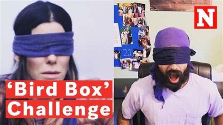 bird box challenge