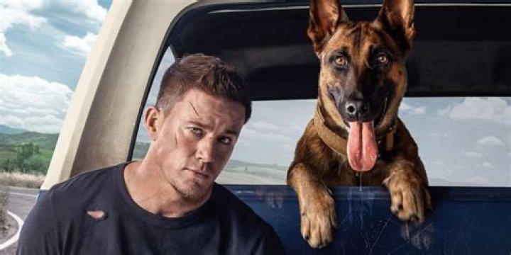 Channing Tatum in Dog