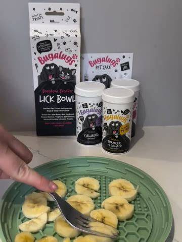 coronavirus lick bowl