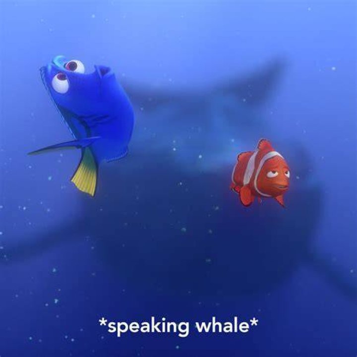 Did Dory actually speak whale?