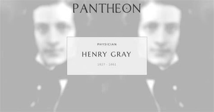 Henry Gray Biography