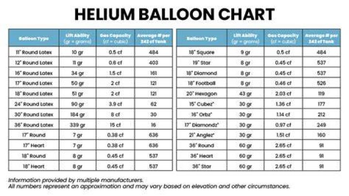 How much is the Balloon Lady worth?