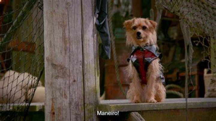 Is dude from descendants in pup Academy?