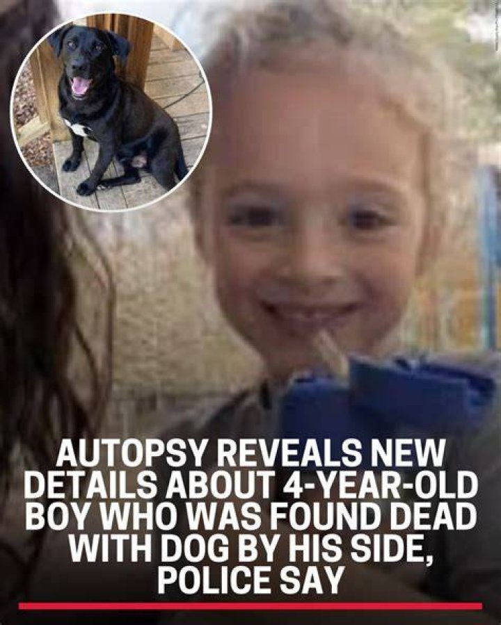 Missing Seamus Gray Found Dead, Autopsy Report Reveals