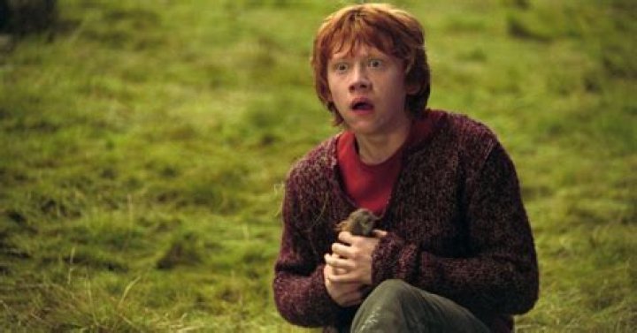 Rupert Grint as Ron Weasley in 'Harry Potter and the Chamber of Secrets'