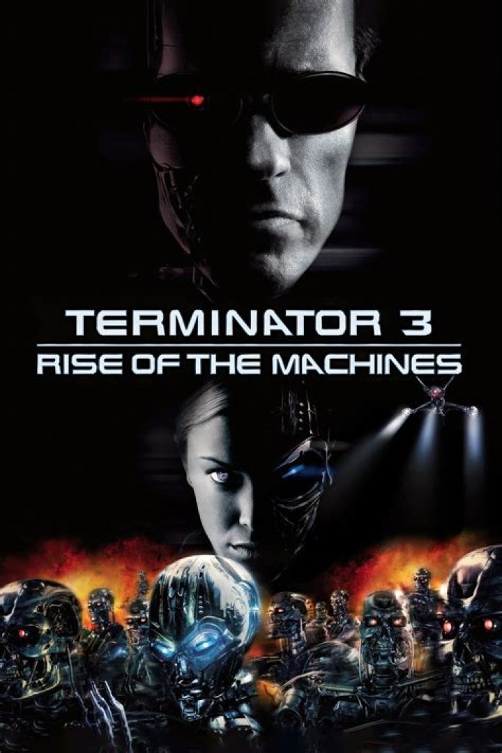 terminator 3